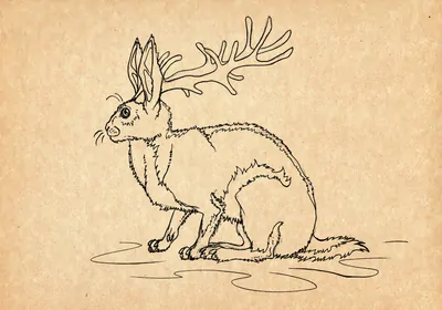 Illustration of a jackalope
